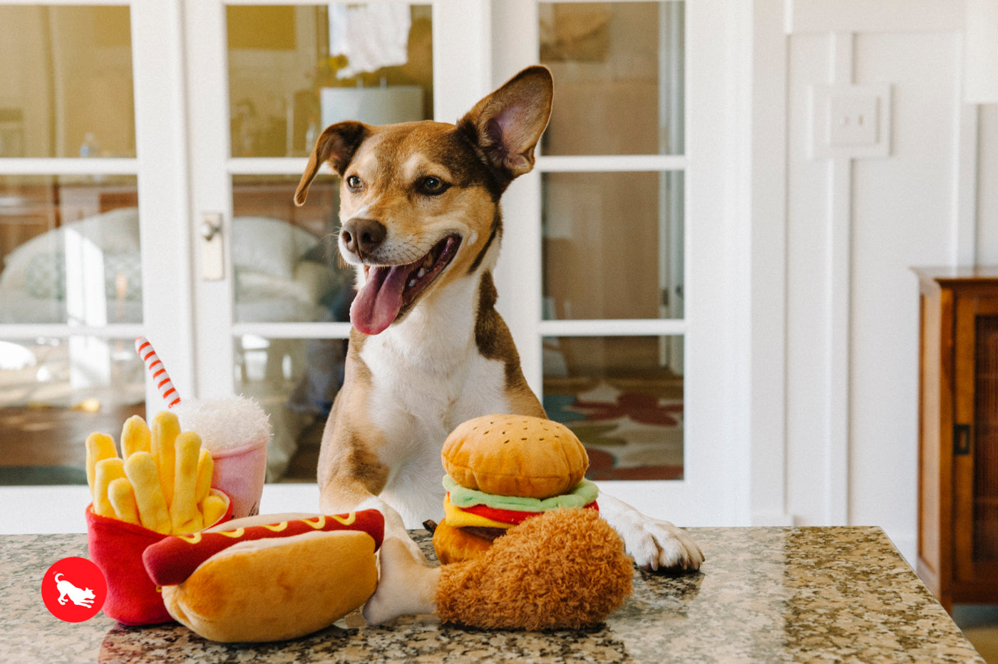 American Classic® Hot Dog Plush Dog Toy by Pet P.L.A.Y. - Durable Chew Toy for Small & Large Dogs - Perfect for Fetch, Tug-of-War & Cuddling