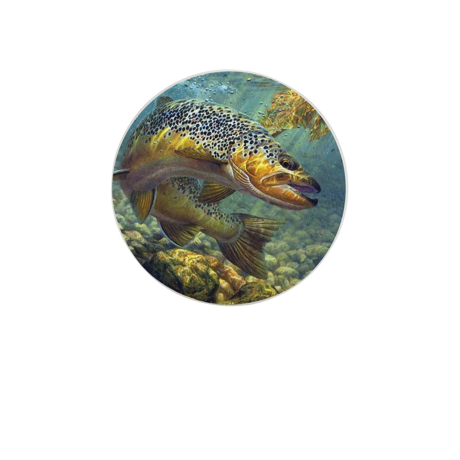 Fly Fish Printed Diatomite Coasters - 4 Inch Set of 4 | Fast Water Absorbent Drink Coasters & Small Plant Trays | Perfect for Coffee Tables, Office Desks & Home Decor