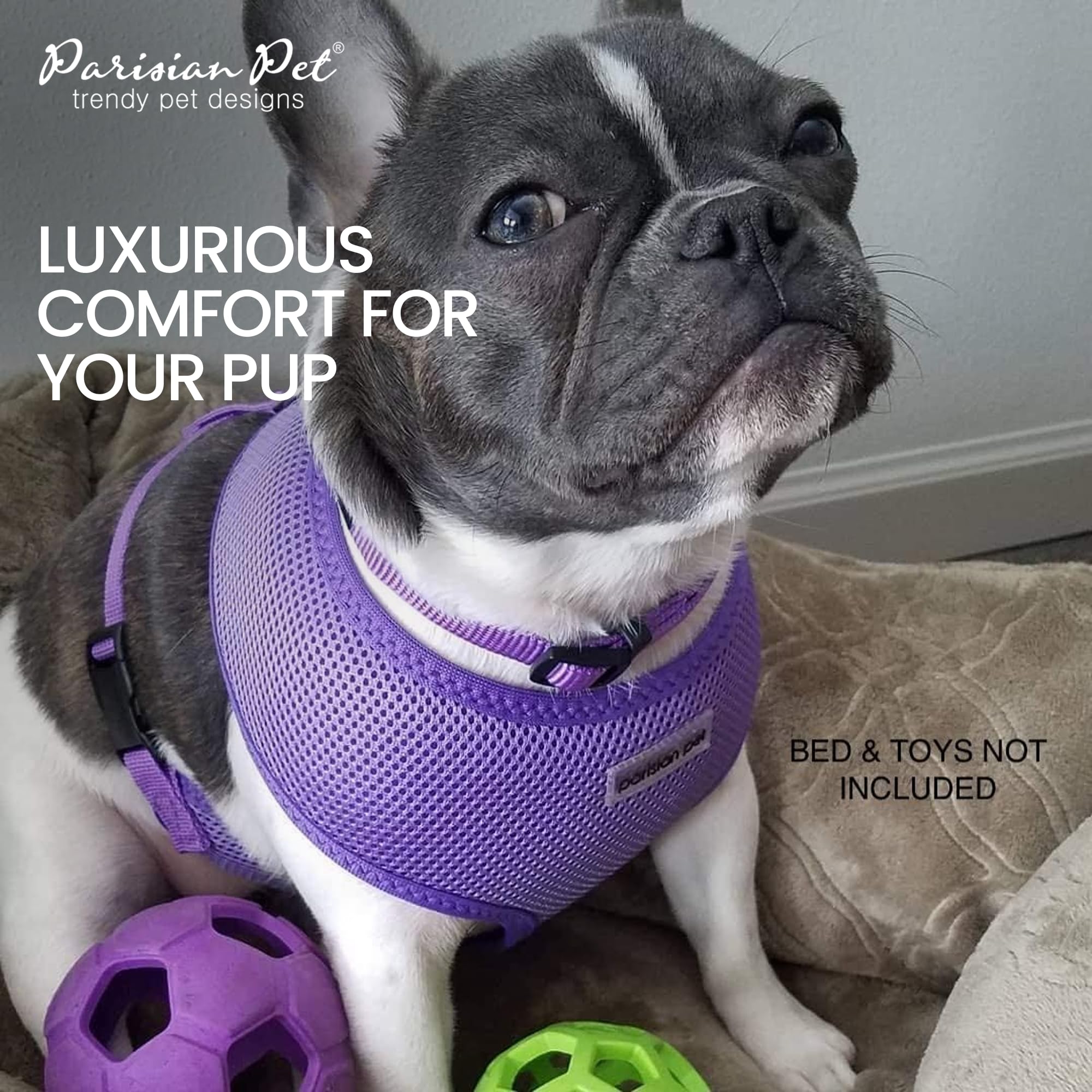 Parisian Pet Girl Dog Harness - Soft Padded Lilac Mesh Vest Harness for Small Dogs - Breathable & Cooling Dog Harness for Walking, Running, Hiking - Perfect for Summer Outdoor Adventures with Your Puppy - Size S