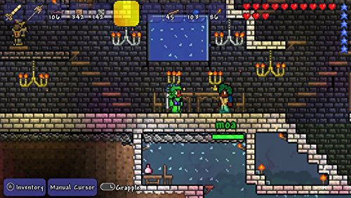 Terraria for PlayStation Vita - Open-World Adventure & Sandbox Game | Explore, Build, Fight & Survive | Perfect for Travel & On-the-Go Gaming