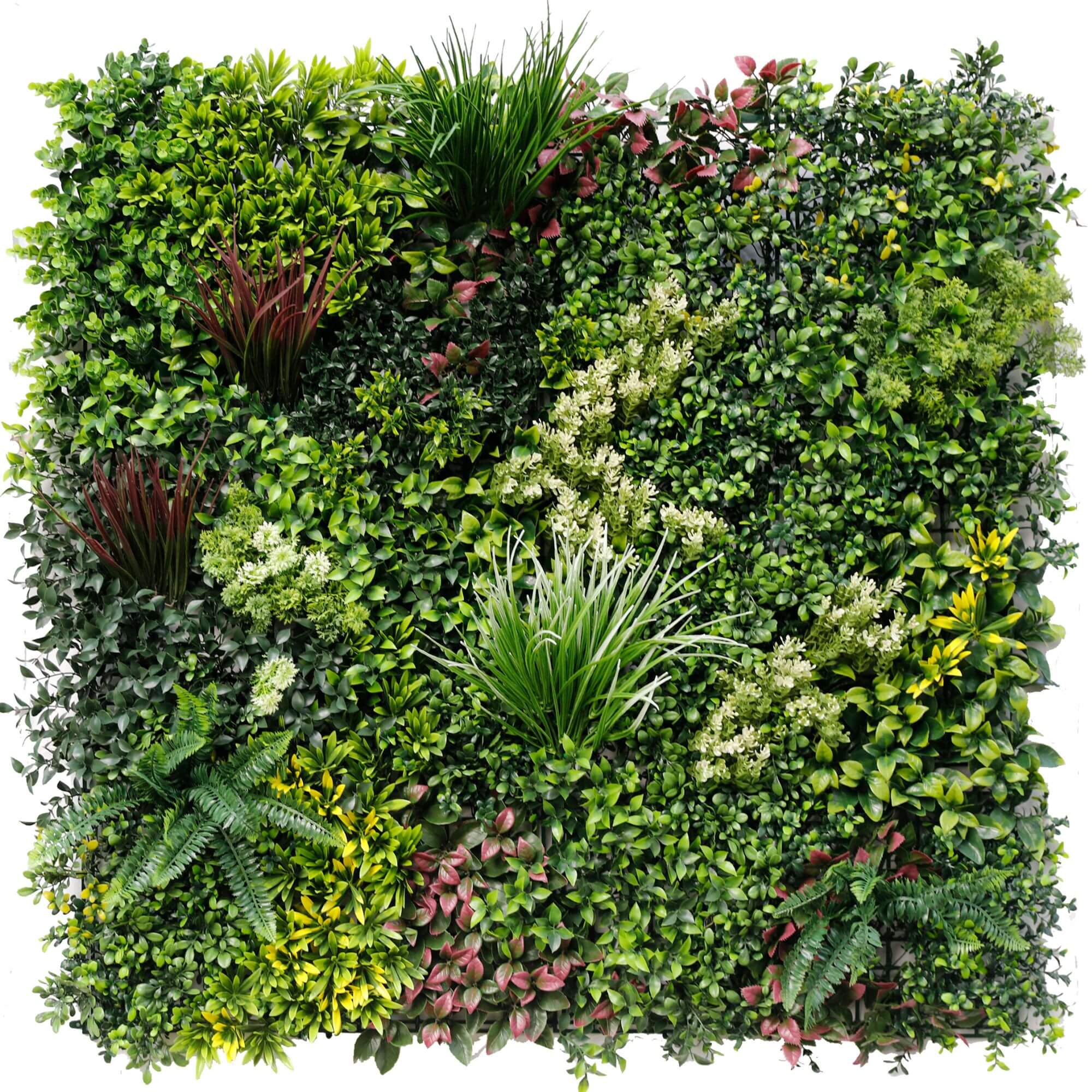 Eco-Friendly Vertical Garden Wall Panel - 1m x 1m UV Resistant Recycled Evergreen Rainforest Design for Indoor/Outdoor Decor | Perfect for Balcony, Patio, Office & Urban Gardening