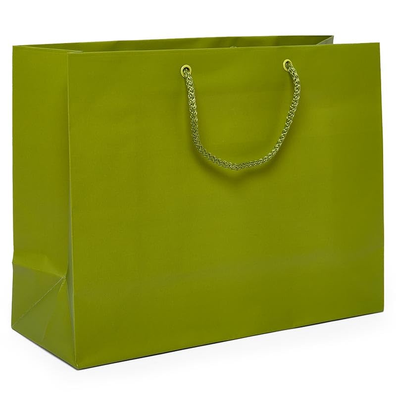 Premium Matte Green Euro Bags - 100 Pack | 13
