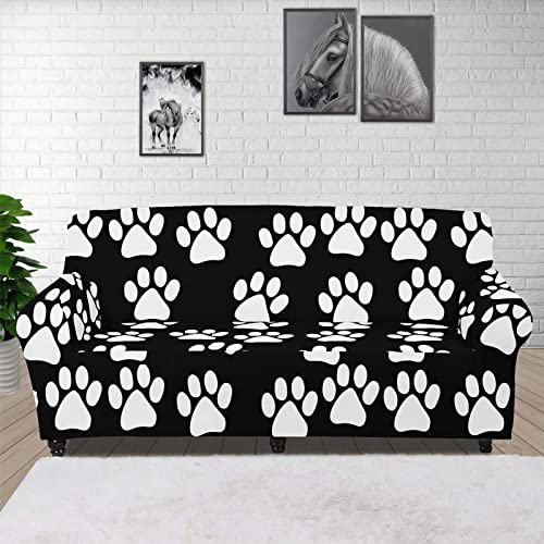 White Dog Paw
