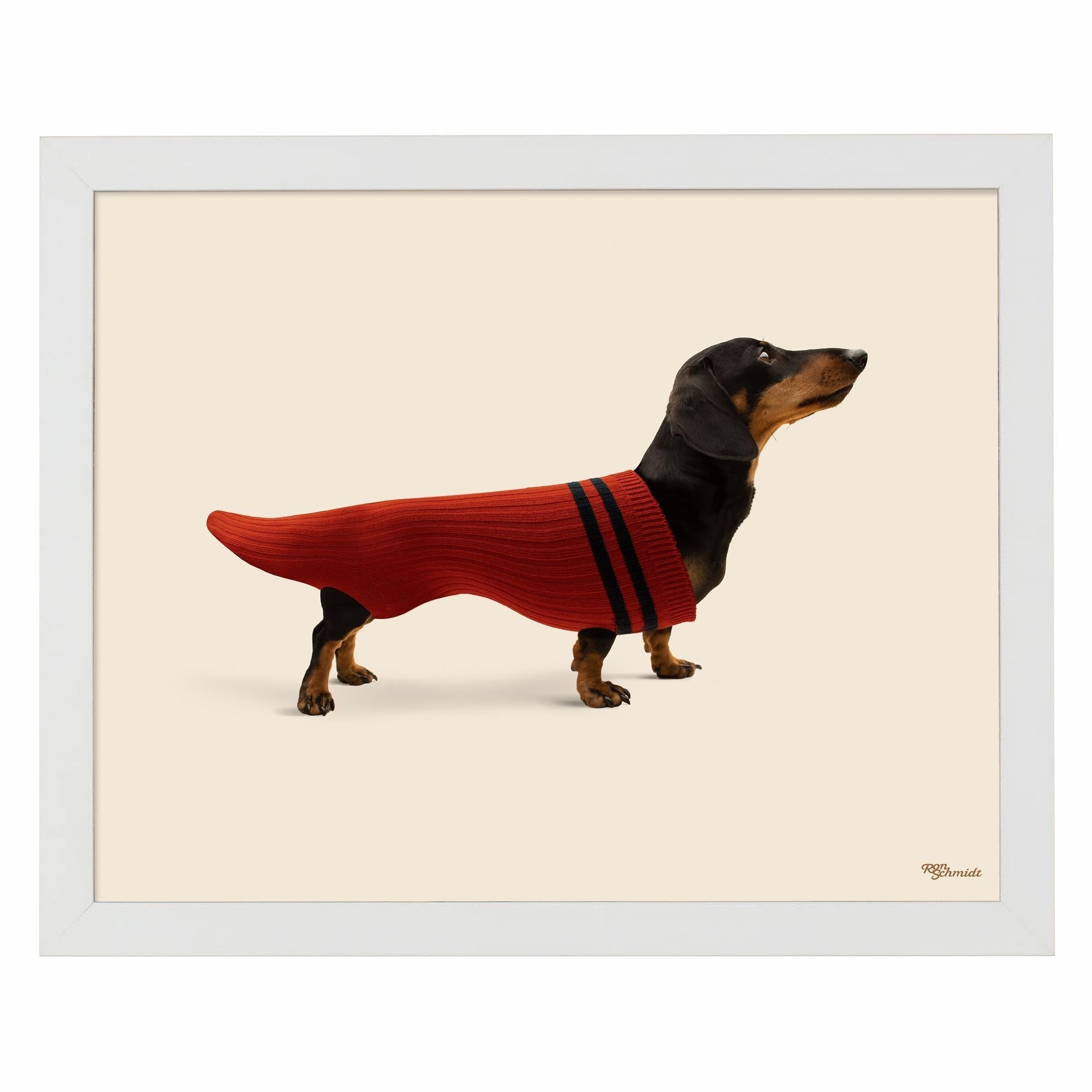 Dox in Sox Art Prints - Whimsical Dog Socks Wall Decor for Living Room, Nursery & Office | Unique Animal Illustration Artwork