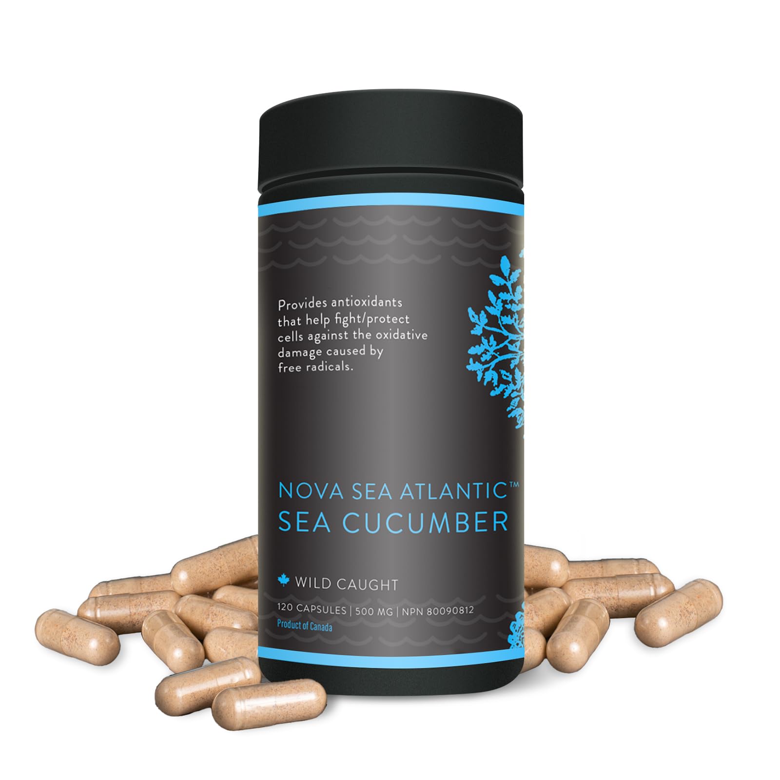 Premium Wild Sea Cucumber Supplement Capsules - Rich in Fucosylated Chondroitin Sulfate, Collagen & Antioxidants - Supports Energy, Immunity & Joint Health - Natural Source of Glycosides, Vitamins & Minerals - Ideal for Athletes, Busy Professionals & Health-Conscious Individuals