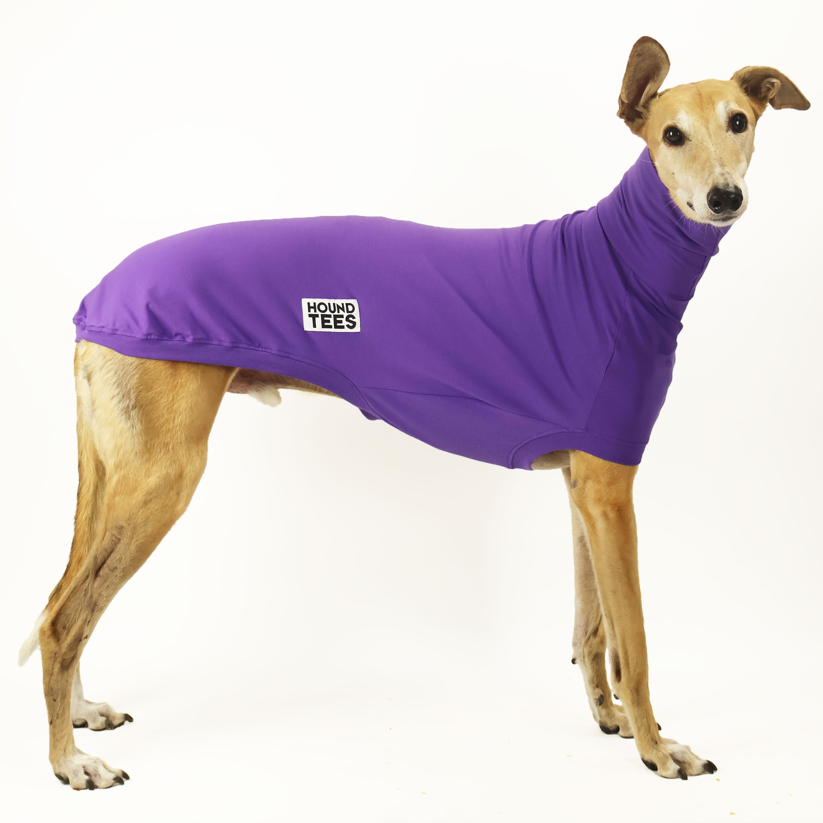 Royal Roach Greyhound Sleeveless Base Layer - Moisture Wicking Thermal Undershirt for Men & Women - Perfect for Running, Hiking, and Cold Weather Activities