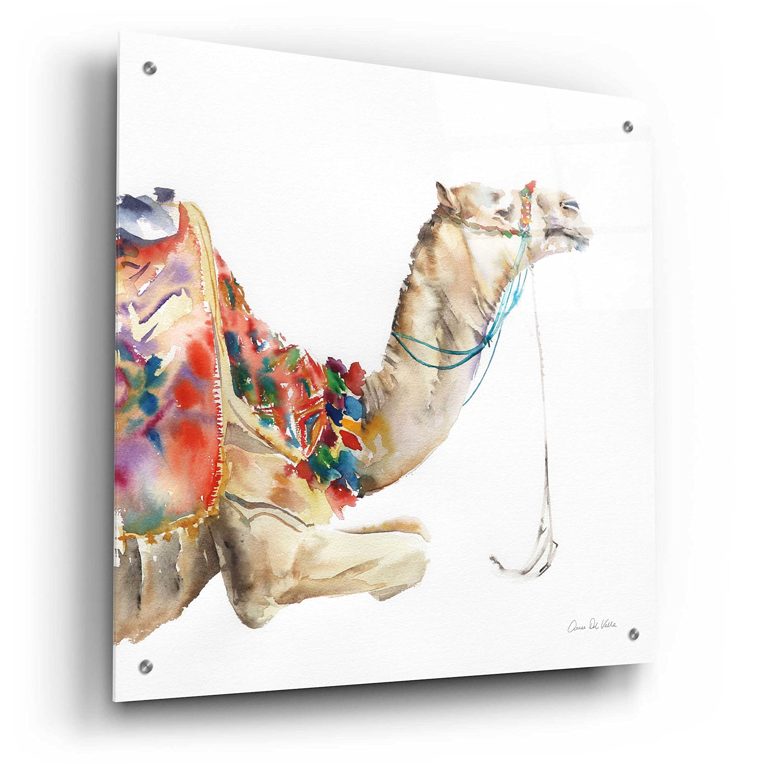 Desert Camel I Acrylic Glass Wall Art by Alan Majchrowicz - 24x24 Inches Modern Home Decor for Living Room, Bedroom & Office