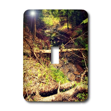 3dRose LLC lsp_21915_1 Northern Michigan Forest & Creek Photography with Moss Trees - Single Toggle Switch - Perfect for Home Decor, Office Wall Art & Nature Lovers Gifts