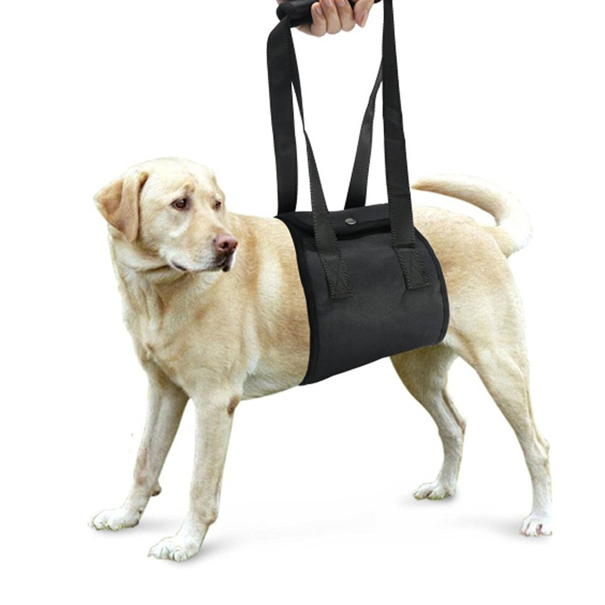 TEHAUX Large Dog Assist Harness with Bungee Leash - Adjustable Dog Lifting Sling for Medium to Large Dogs - Hind Leg Support & Traction Belt - Ideal for Mobility Assistance, Rehabilitation & Outdoor Adventures