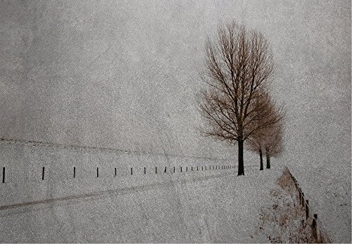 Empty Road with a Fence