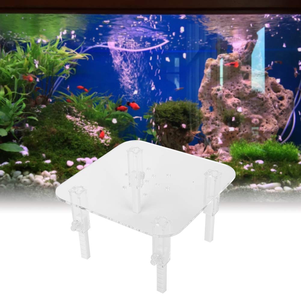 Jazar Acrylic Protein Skimmer Stand Bracket - Small Heightening Accessory for Protein Separator | Perfect for Saltwater Aquarium & Reef Tank Setup