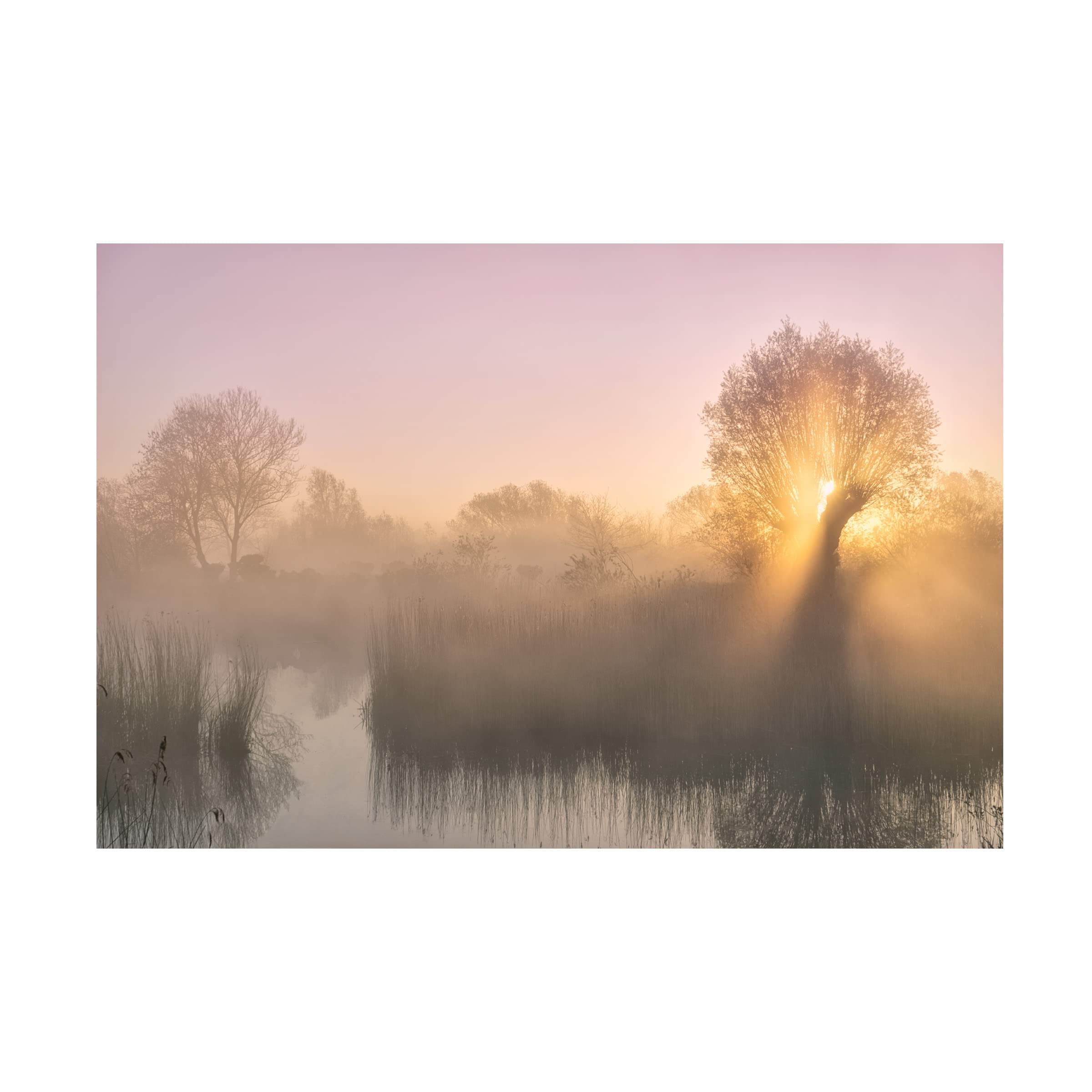 Trademark Fine Art 'Silence' Canvas Wall Art by Ellen Borggreve - Nature Landscape Painting for Living Room, Bedroom & Office Decor