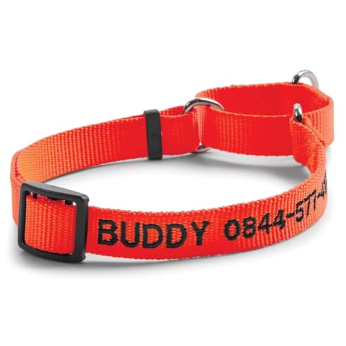 Blaze Orange