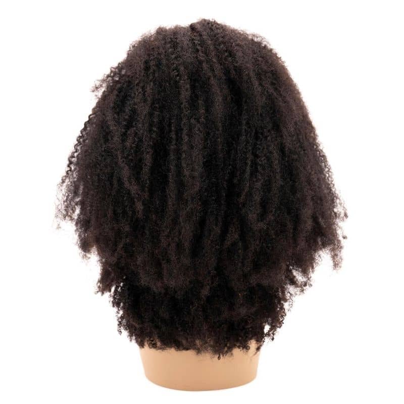 Afro Kinky Curly 4x4 Transparent Lace Closure Wig 100% Human Hair - Natural Look for Everyday Wear & Special Occasions