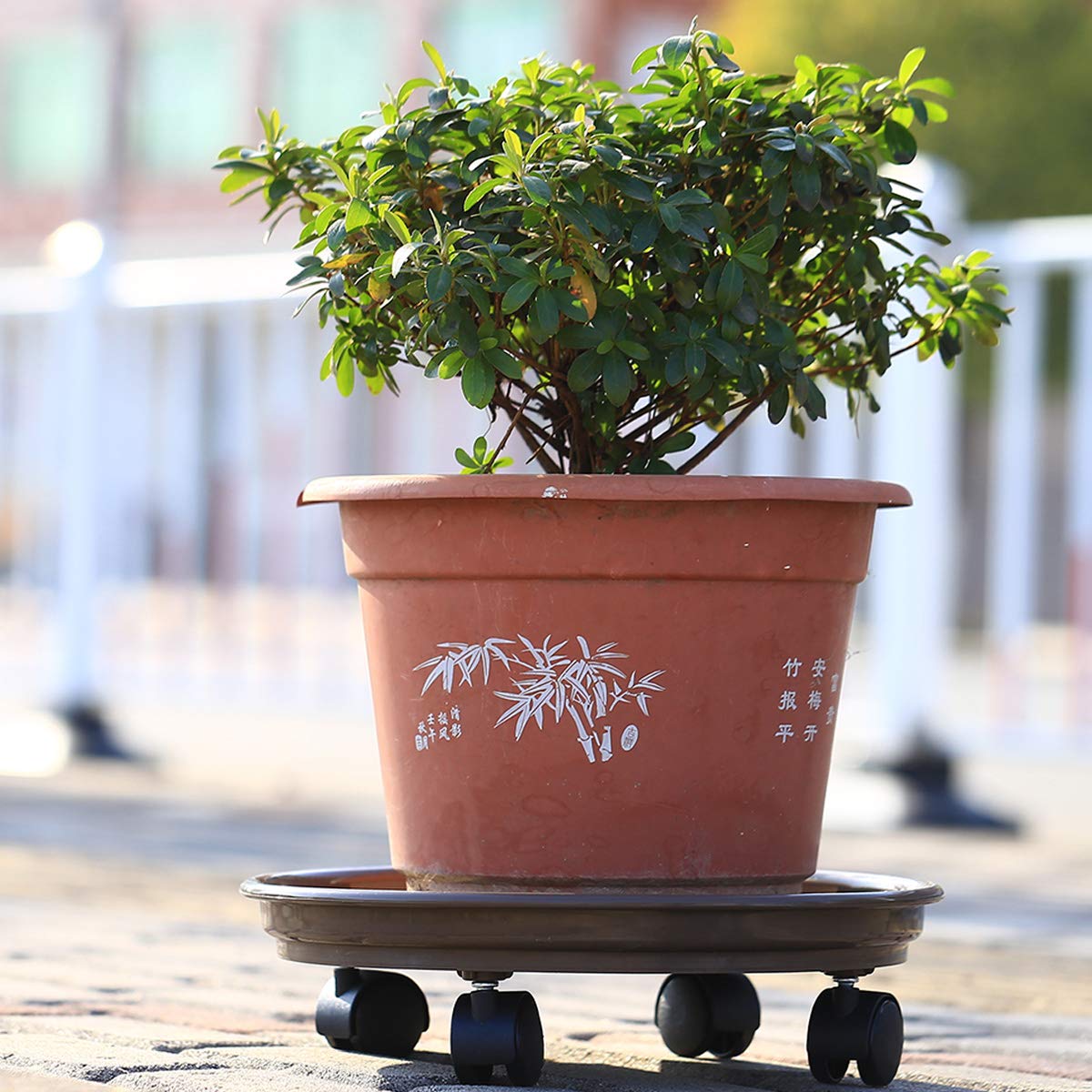 Circloophs 7-Pack Heavy Duty 12-Inch Rolling Plant Caddy with Wheels - Plant Dolly for Moving Large Pots Indoors & Outdoors - Coffee Brown - Perfect for Garden, Patio, and Home Decor