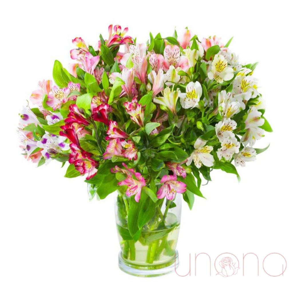 Fresh Alstroemeria Touch Bouquet - Long-Lasting Peruvian Lily Flowers for Home Decor, Wedding Centerpieces & Gift Giving