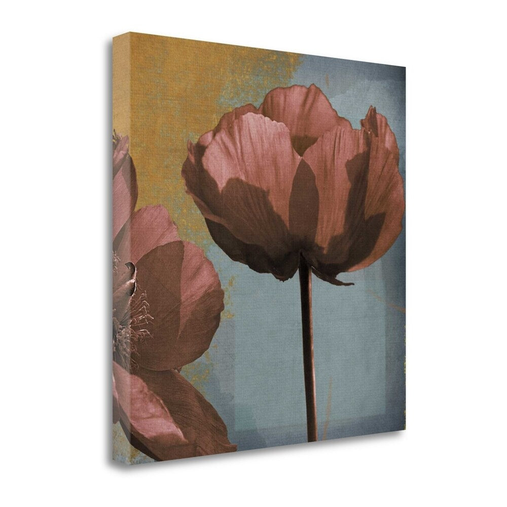 Blooming Jewels by Robert Lacie - Premium Fine Art Giclee Print on Gallery Wrapped Canvas - Ready to Hang Wall Decor for Living Room, Bedroom & Office