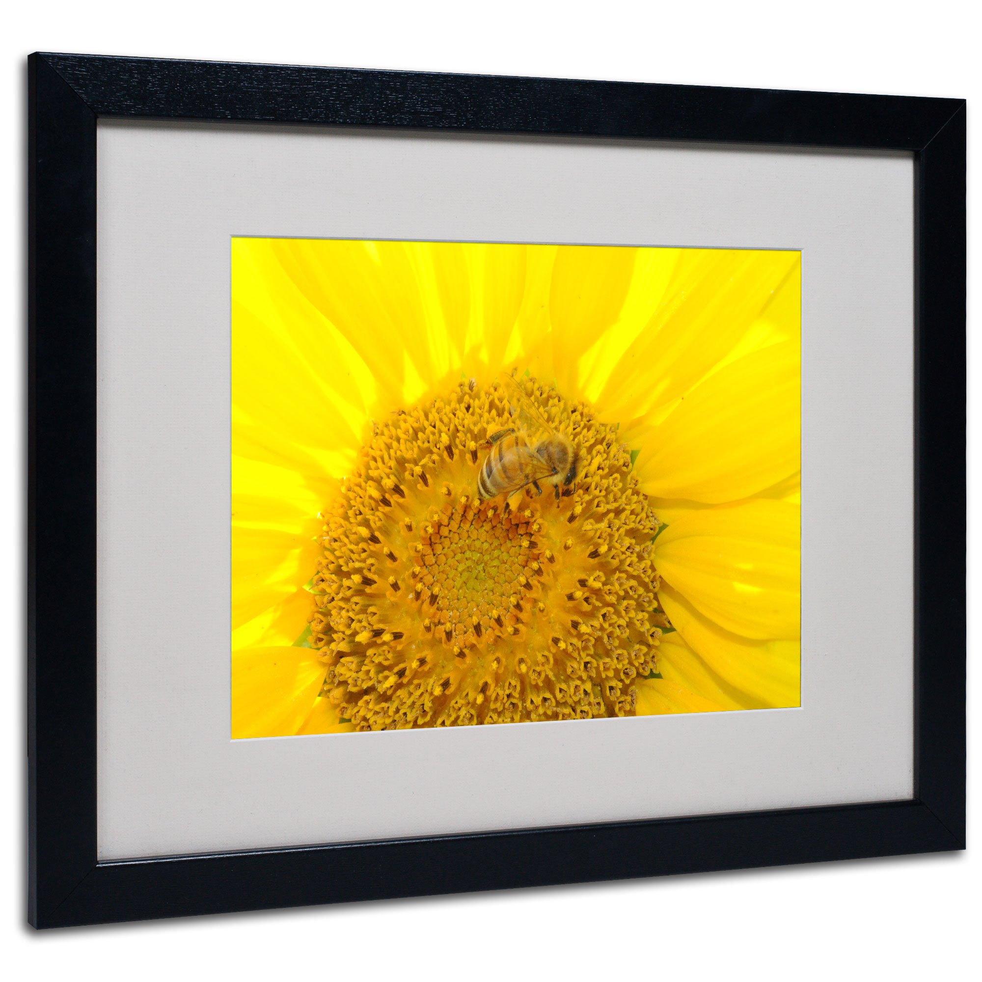 Honey-Maker by Monica Fleet - 16x20 Inch Black Framed Wall Art - Perfect for Living Room, Bedroom & Office Decor