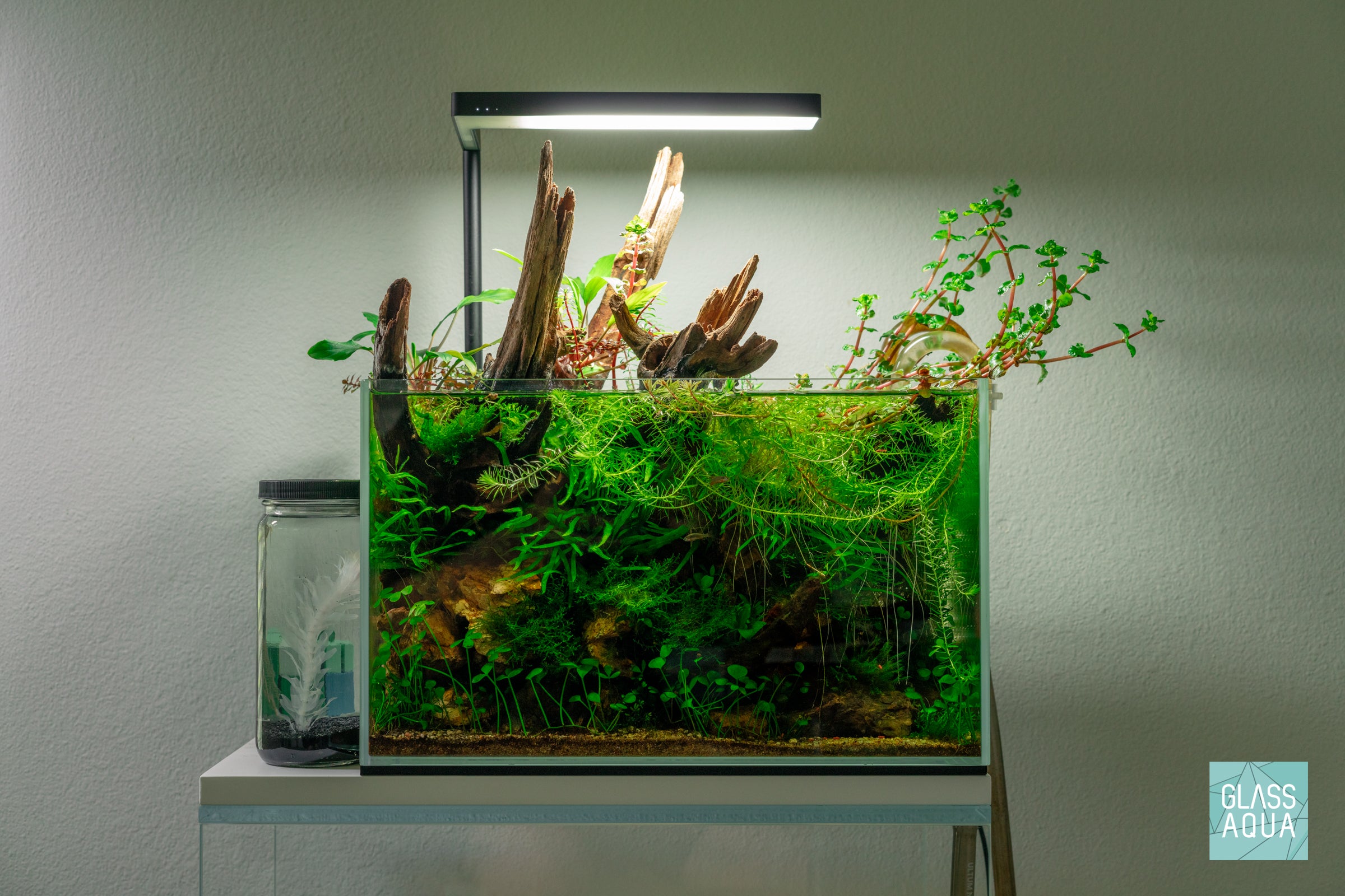 Premium Malaysian Driftwood for Aquarium & Terrarium Decor - Natural Wood for Fish Tanks, Reptile Habitats & Home Decoration - Unique Aquatic & Landscape Design Element