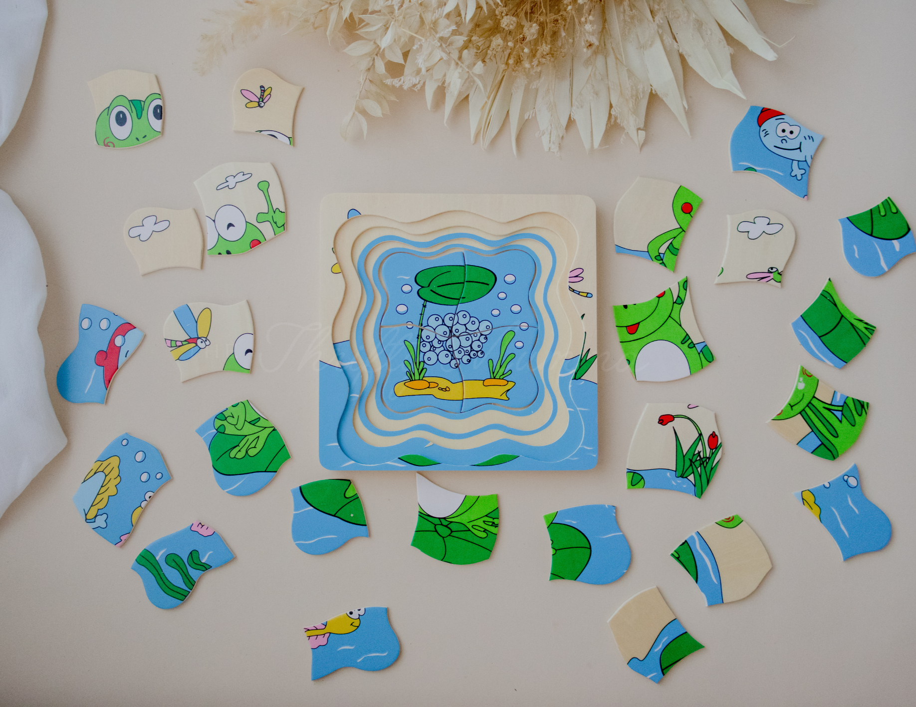 Timber Frog Life Cycle 4-Layer Wooden Puzzle - Educational Toy for Kids Learning Animal Development Stages - Perfect for Homeschooling & Classroom Science Activities
