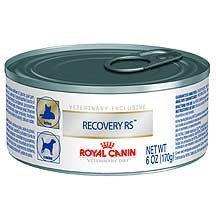 Royal Canin RS Recovery Cat Food - 24 Pack (5.8 oz Cans) | Veterinary Diet for Post-Surgery & Illness Recovery | High-Calorie Nutritional Support for Cats