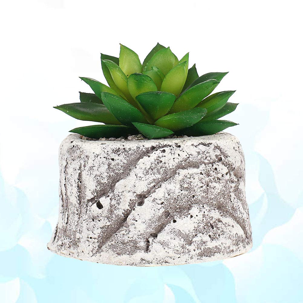 VICASKY Decorative Succulent Plant Pots - Ceramic Flower Pots for Cactus, Aloe Vera, Small Plants - Perfect for Home, Office, Garden Decor and Gift Ideas