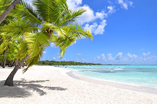 Beach N108