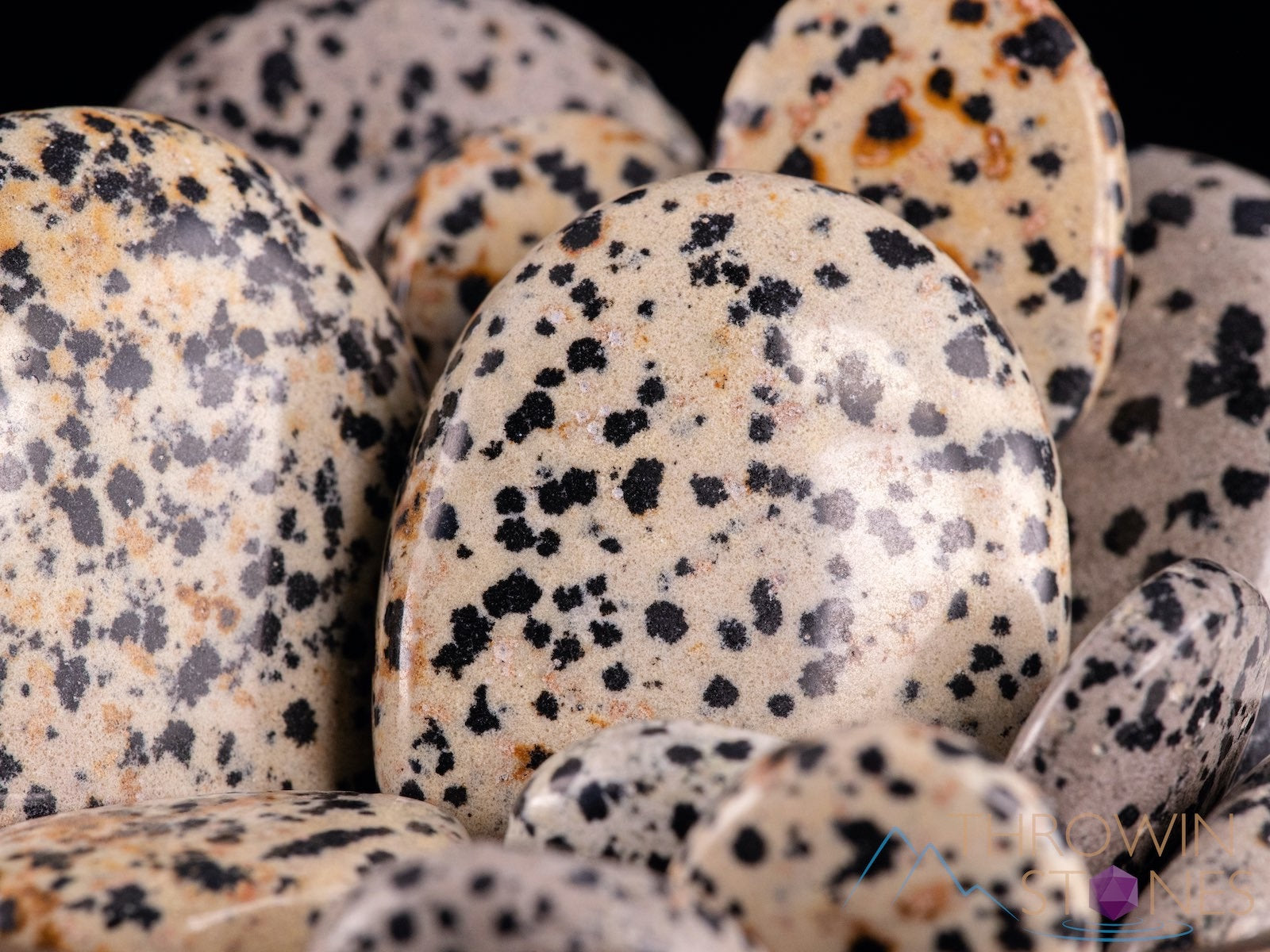**Dalmatian Jasper Crystal Palm Stone - Natural Worry Stone for Anxiety Relief, Self-Care & Healing | Perfect for Meditation, Stress Relief & Spiritual Balance**