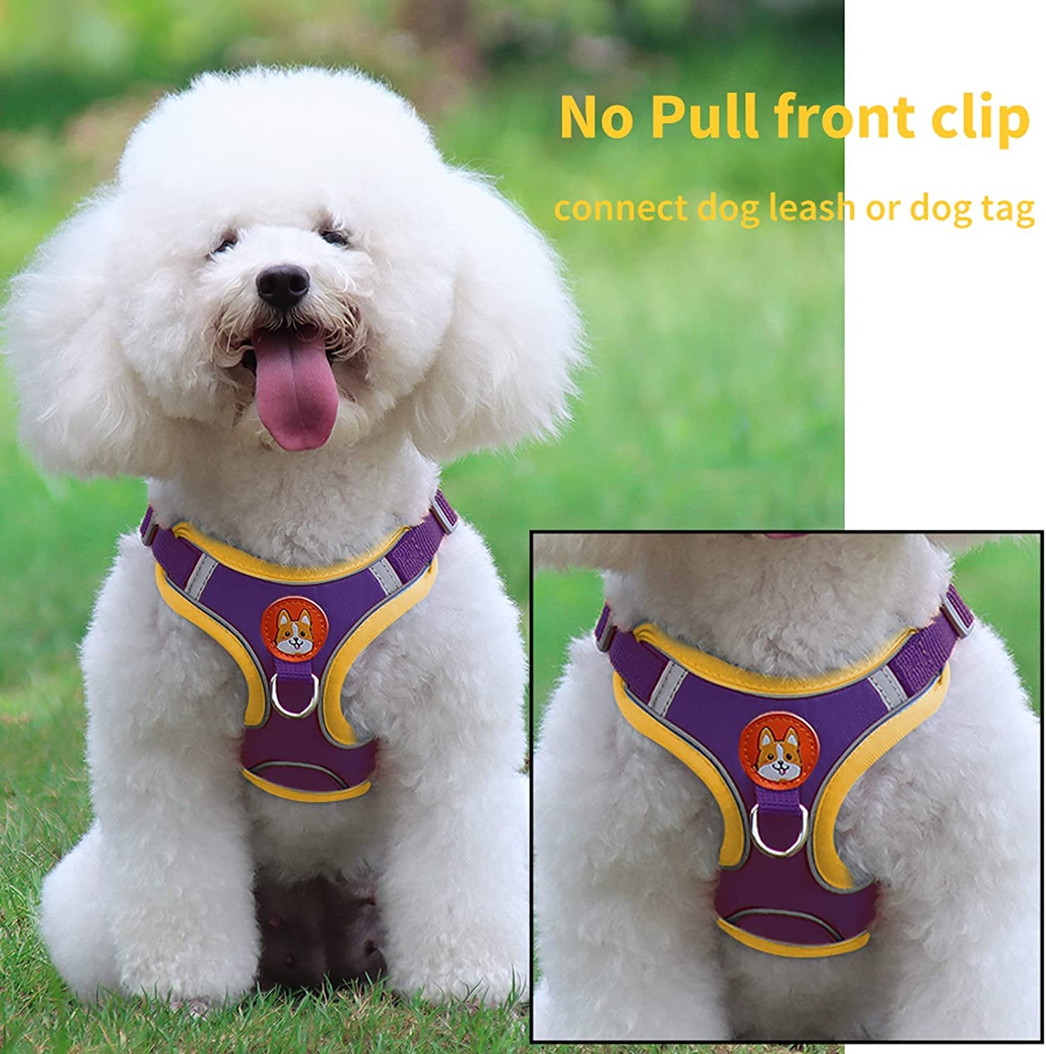 Adjustable No-Pull Dog Harness for Small & Medium Dogs - Reflective Puppy Vest Harness with 2 Leash Clips & Comfort Padding | Perfect for Walking, Training & Outdoor Adventures