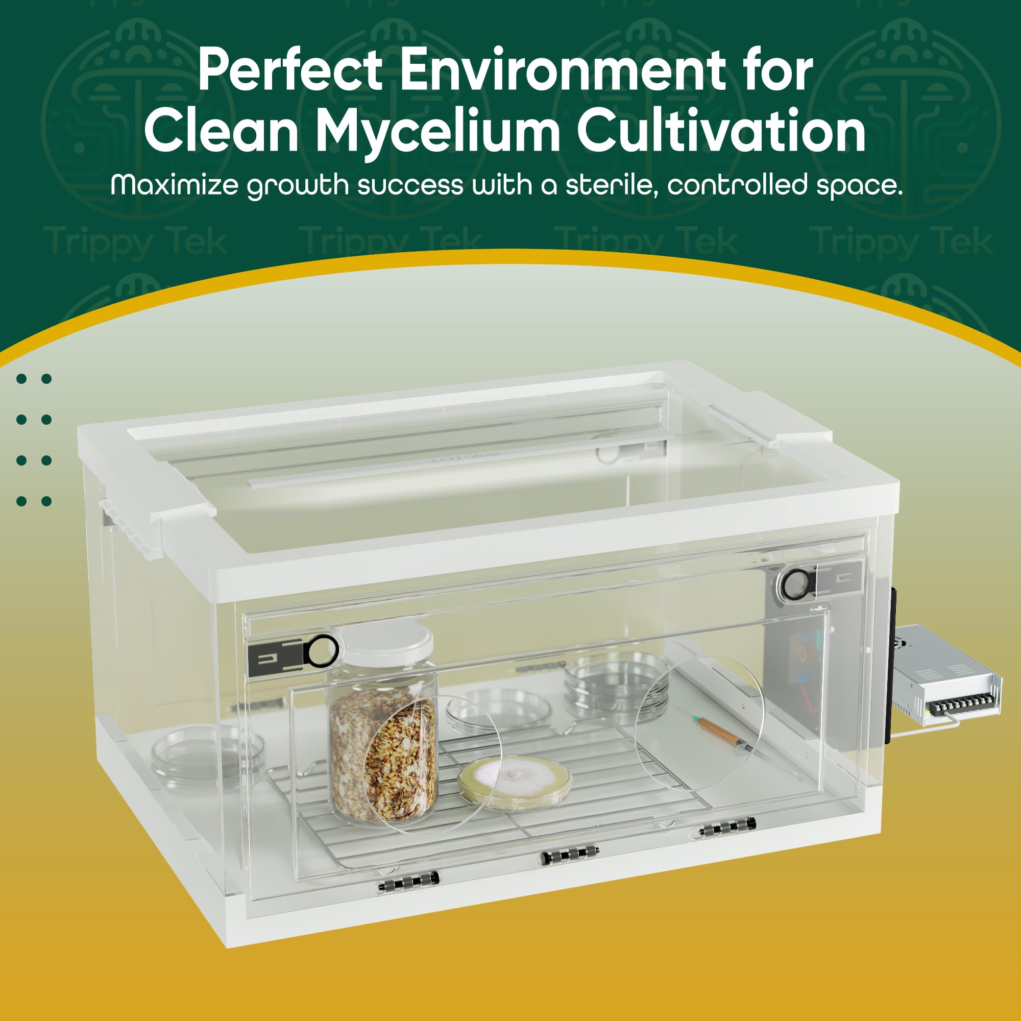Premium Collapsible Still Air Box with Induction Scalpel Sterilizer – Ideal for Agar Work, LC Preparation & Mycology – Mushroom Growing Kit with LED Light & Wire Rack – Perfect for Home Labs, Fungi Cultivation & Sterile Workspaces
