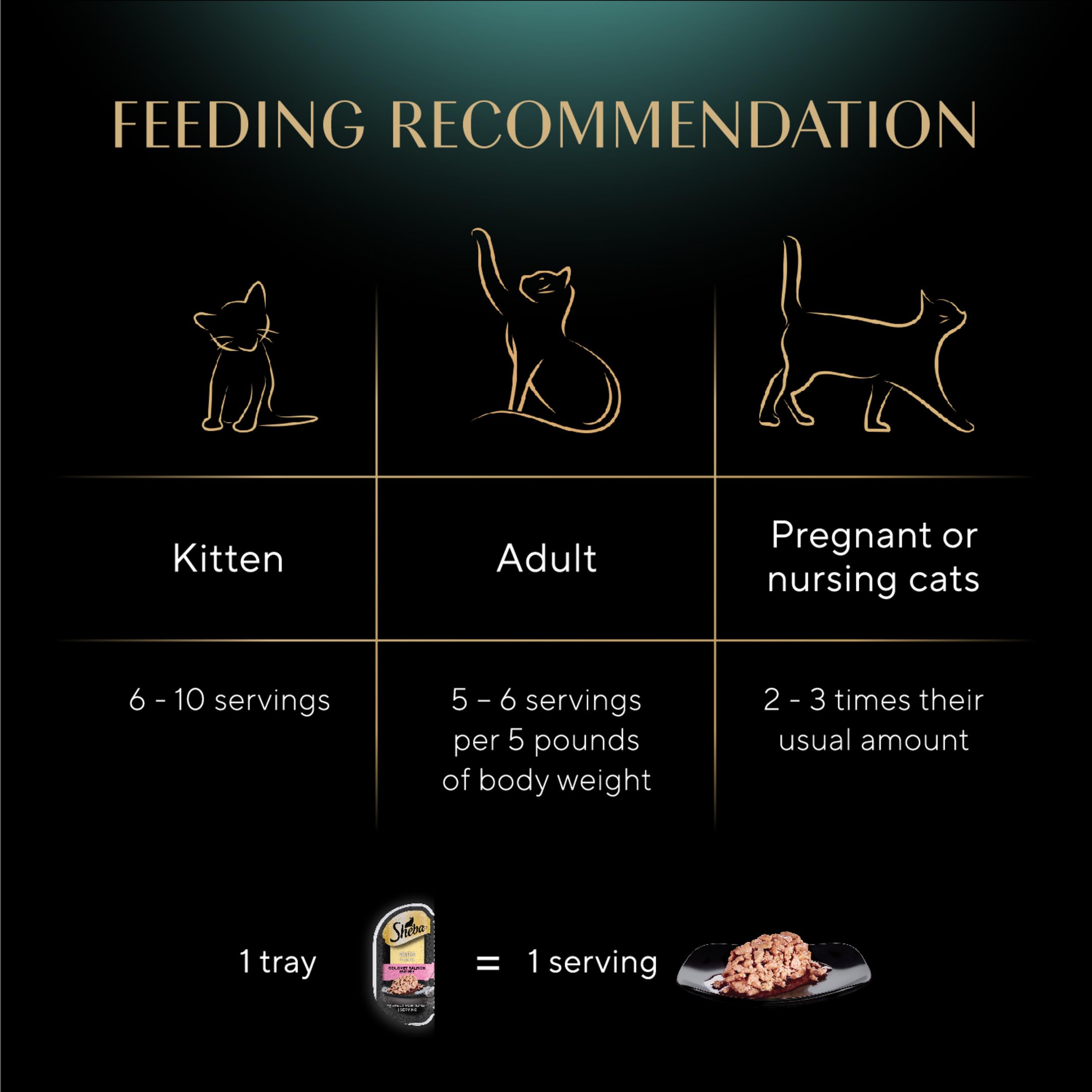 Sheba Perfect Portions Wet Cat Food - Sustainable Salmon in Gravy, 2.6 oz Twin-Pack (24 Trays, 48 Servings) | Delicious & Nutritious Meal for Adult Cats | Perfect for Daily Feeding & Special Treats