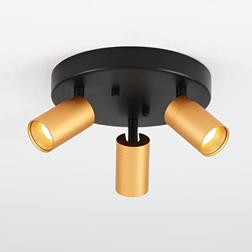 Black & Brass - 3 Head Round Ceiling Light