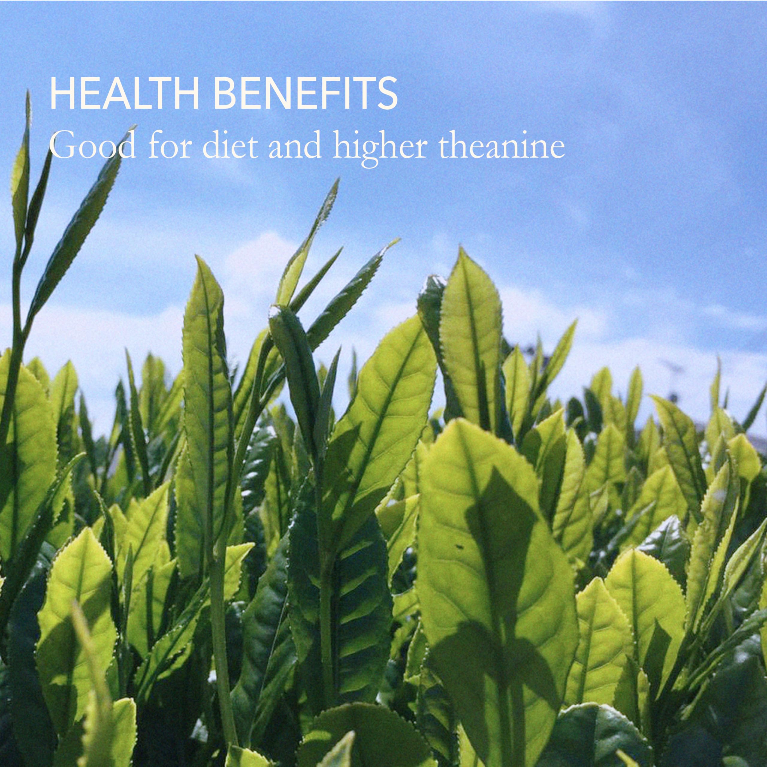 Premium Japanese Green Tea Assortment - Gyokuro, Gokuzyo Aracha, Issaku, Nozomi & Teabag Set - Non-GMO, Delicate Flavor - Perfect for Tea Lovers, Gifts & Relaxation Moments