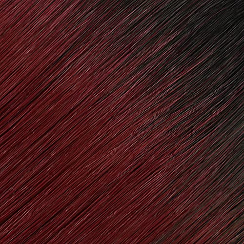 #TT1B/BG - Black to Burgundy Ombre