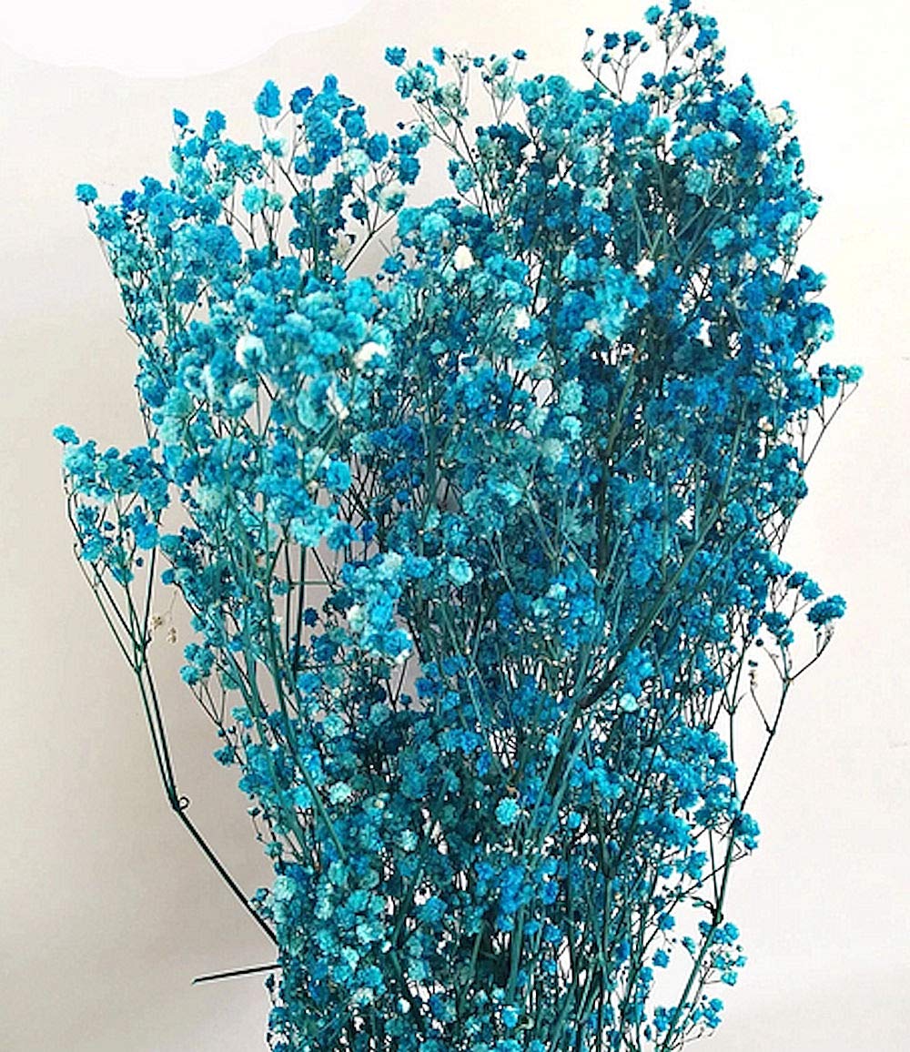 Preserved Baby's Breath Flowers - Natural Dried Floral Decor for Weddings, Parties, Home & Event Decoration - Perfect for Centerpieces, Bouquets, and DIY Crafts