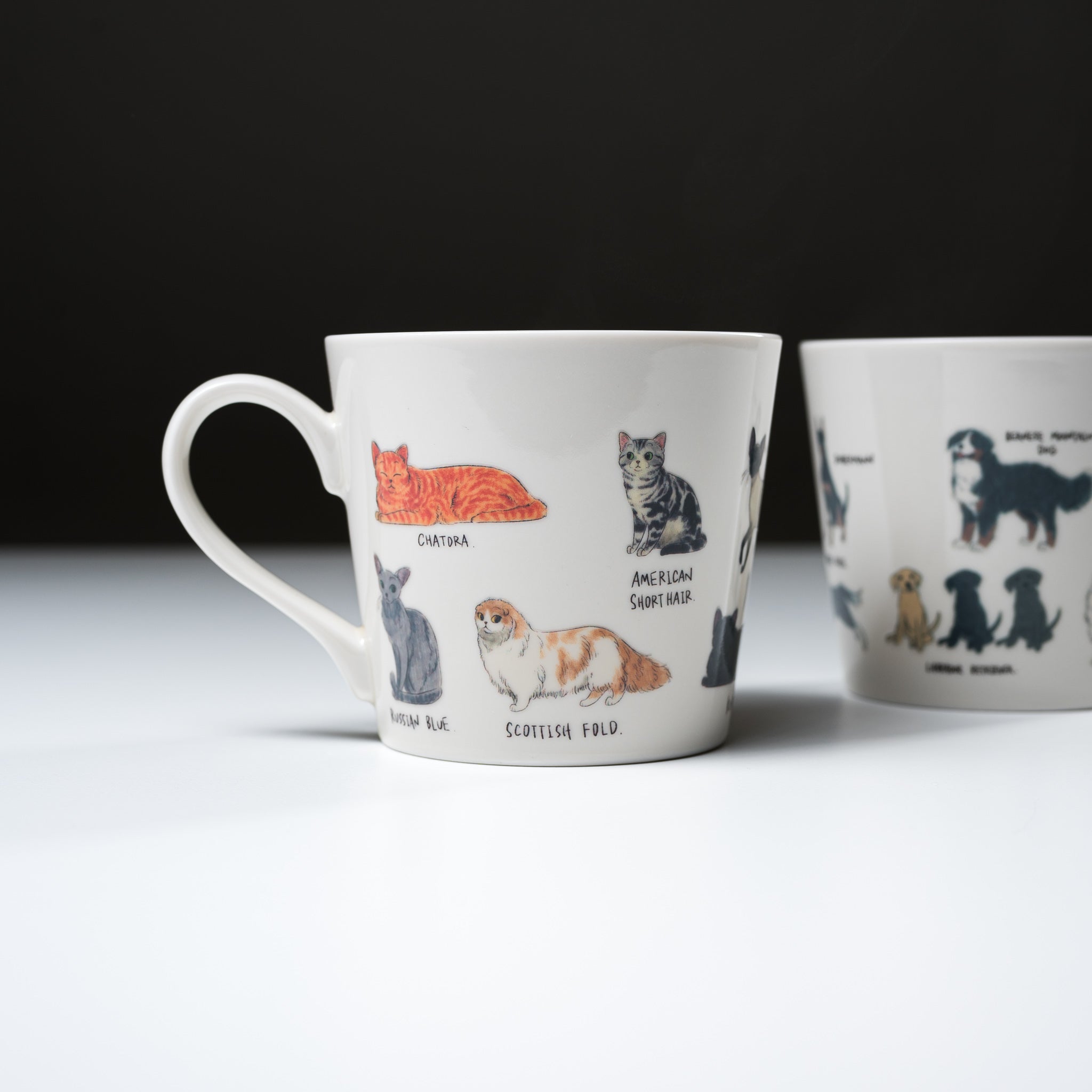 Premium Mino Ware Cat Lover's Magic Thermal Mug - Heat Changing Ceramic Coffee Cup with Cute Cat Design - Perfect for Tea, Coffee & Gift Giving