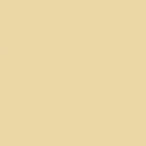 Skin - Ivory