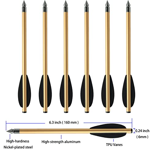 6 Pcs