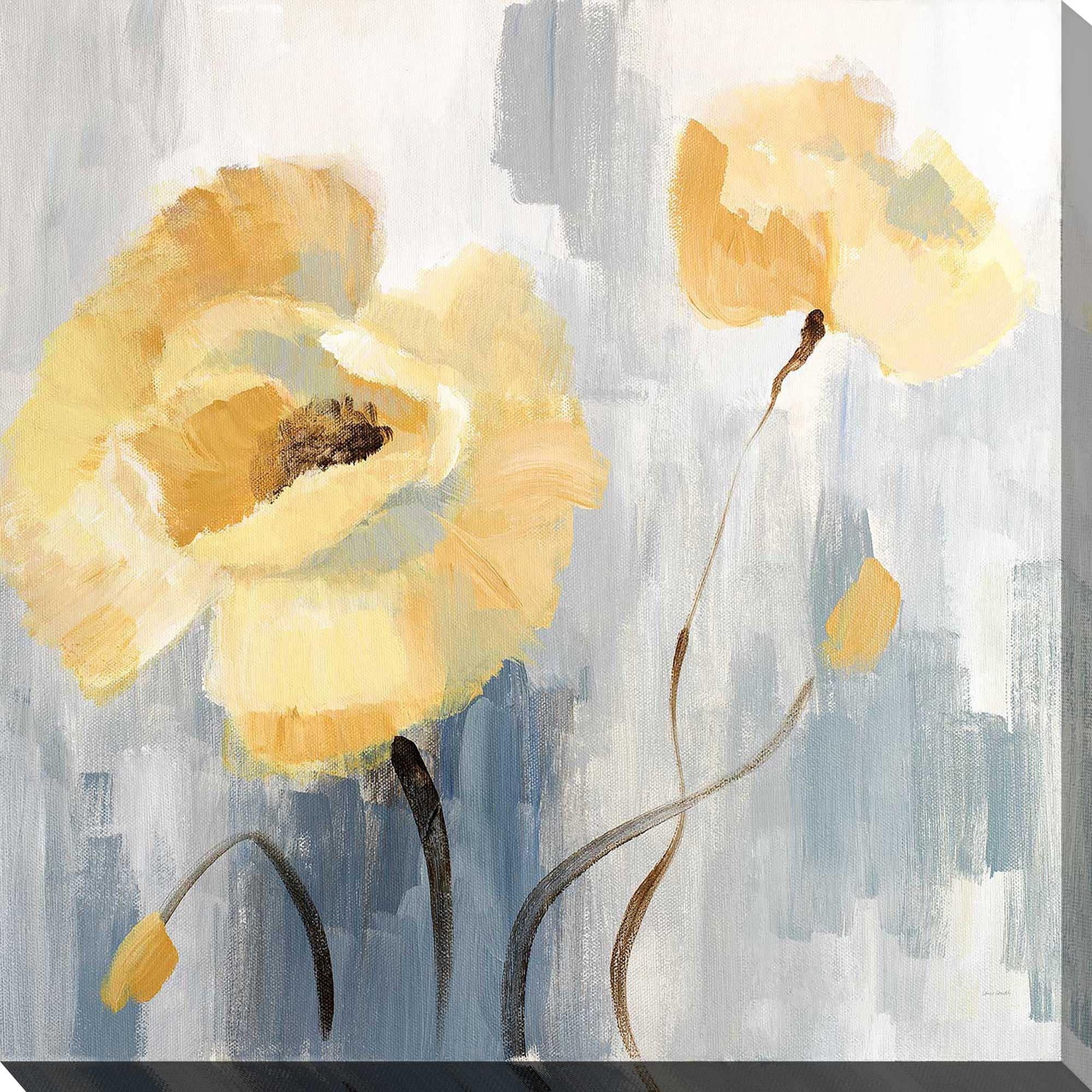 Blossom Beguile II Canvas Art Print by Lanie Loreth - Floral Wall Decor for Living Room, Bedroom & Office