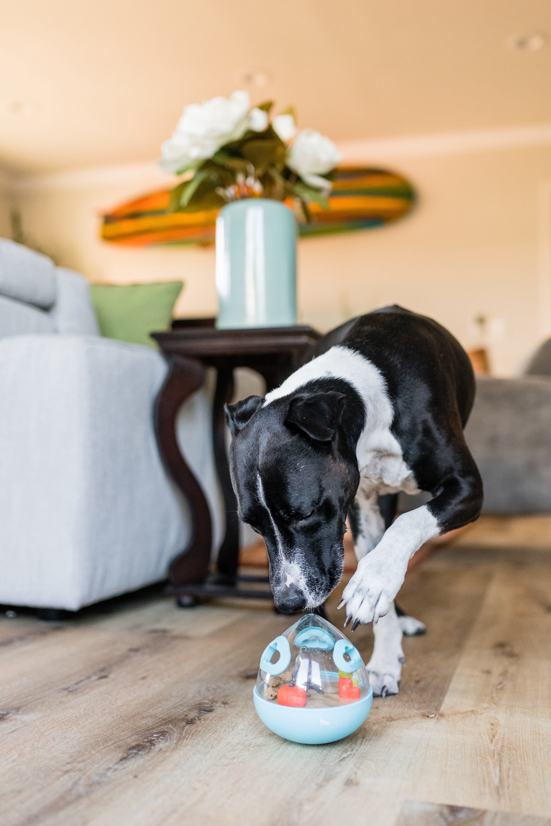 Wobble Ball Interactive Dog Treat Dispenser Toy - Blue | Pet P.L.A.Y. - Fun Puzzle Feeder for Small & Medium Dogs, Perfect for Mealtime Enrichment & Mental Stimulation