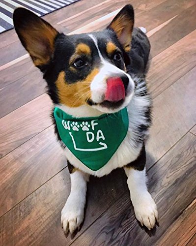Woof Da Dog Bandana - Adjustable Dog Bandana for Medium to Large Dogs, One Size Fits Most, Kelly Green - Perfect for Pet Fashion, Outdoor Adventures & Special Occasions