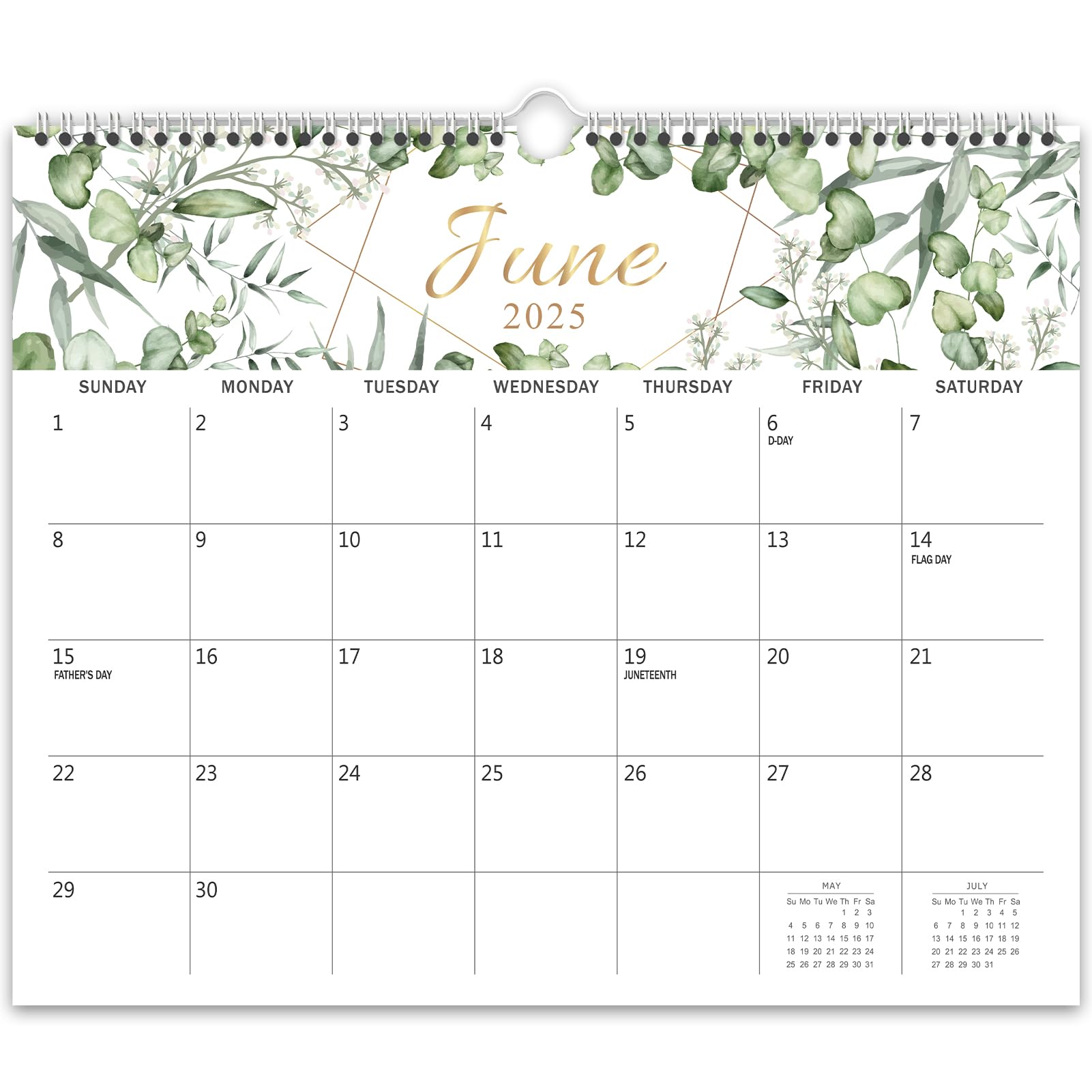 GuassLee 2025-2026 Wall Calendar | 19-Month Hanging Planner (June 2025 - December 2026) | 14