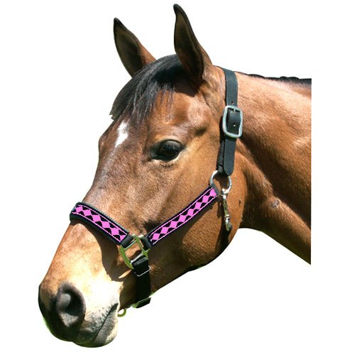 Leather Crown Diamond Halter - Padded Nose for Horses - Riding & Training Accessory