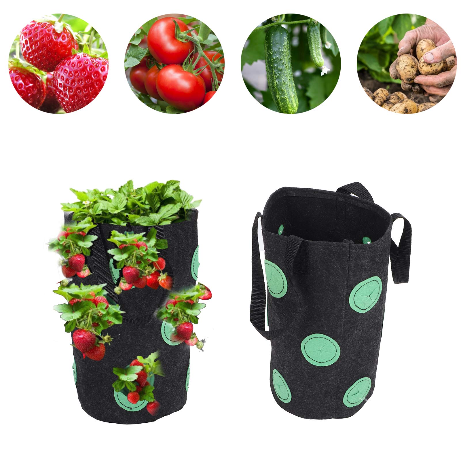 Zerodis 12 Holes Strawberry Planter Bag with Handles - Portable Breathable Felt Growing Pots for Garden, Balcony & Courtyard - Perfect for Growing Strawberries, Herbs & Flowers (Black)