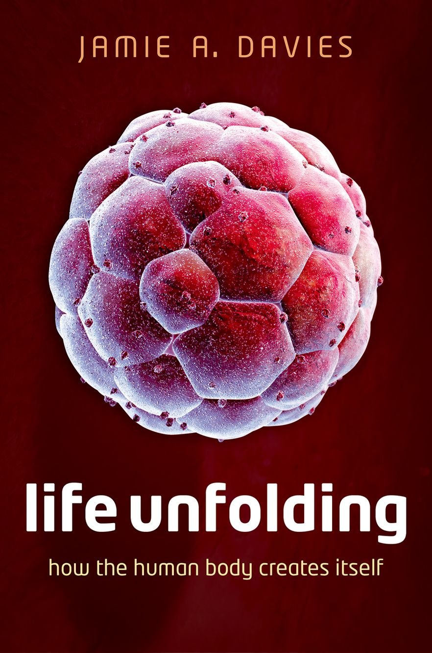 Life Unfolding: How the Human Body Creates Itself - Human Biology Book for Medical Students & Science Enthusiasts | Perfect for Anatomy Studies & Gift for Healthcare Professionals