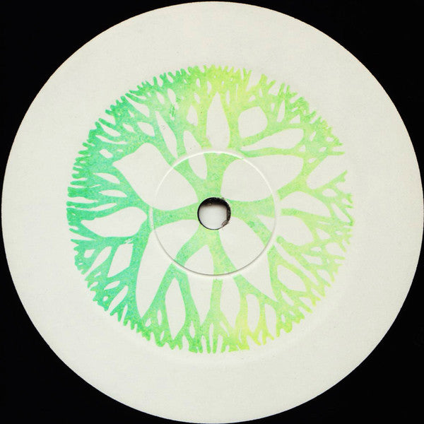 Africans With Mainframes – Commission Number 3 12 Bio Rhythm Vinyl Record RHYTHM015 | Electronic Dance Music Collectible for DJs & Music Enthusiasts