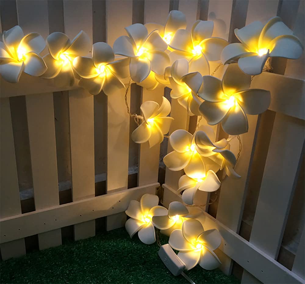 20 LED Artificial Frangipani String Lights - USB Powered Plumeria Flower Fairy Lights for Christmas, Party, Home, Wedding & Beach Decor (White, 1 Pack) | Indoor & Outdoor Decorative Lighting for Garden, Patio, Bedroom and Special Events