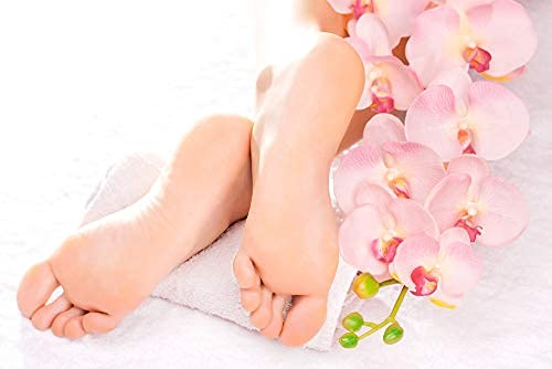 Khadi Rishikesh Herbal Foot Crack Cream - Best Healing & Repair Treatment for Dry, Cracked Heels & Feet | Moisturizing Foot Care Cream for Men & Women | Ideal for Winter Skin Protection | 50GM | Made in India | Perfect for Daily Foot Care & Spa Treatments