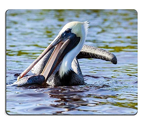 Premium Gaming Mouse Pad Set - Natural Rubber Non-Slip Surface with Pelican & Fish Tarpon Bay Design (M0A18355) - Perfect for PC Gaming, Office Work & Home Computer Setup