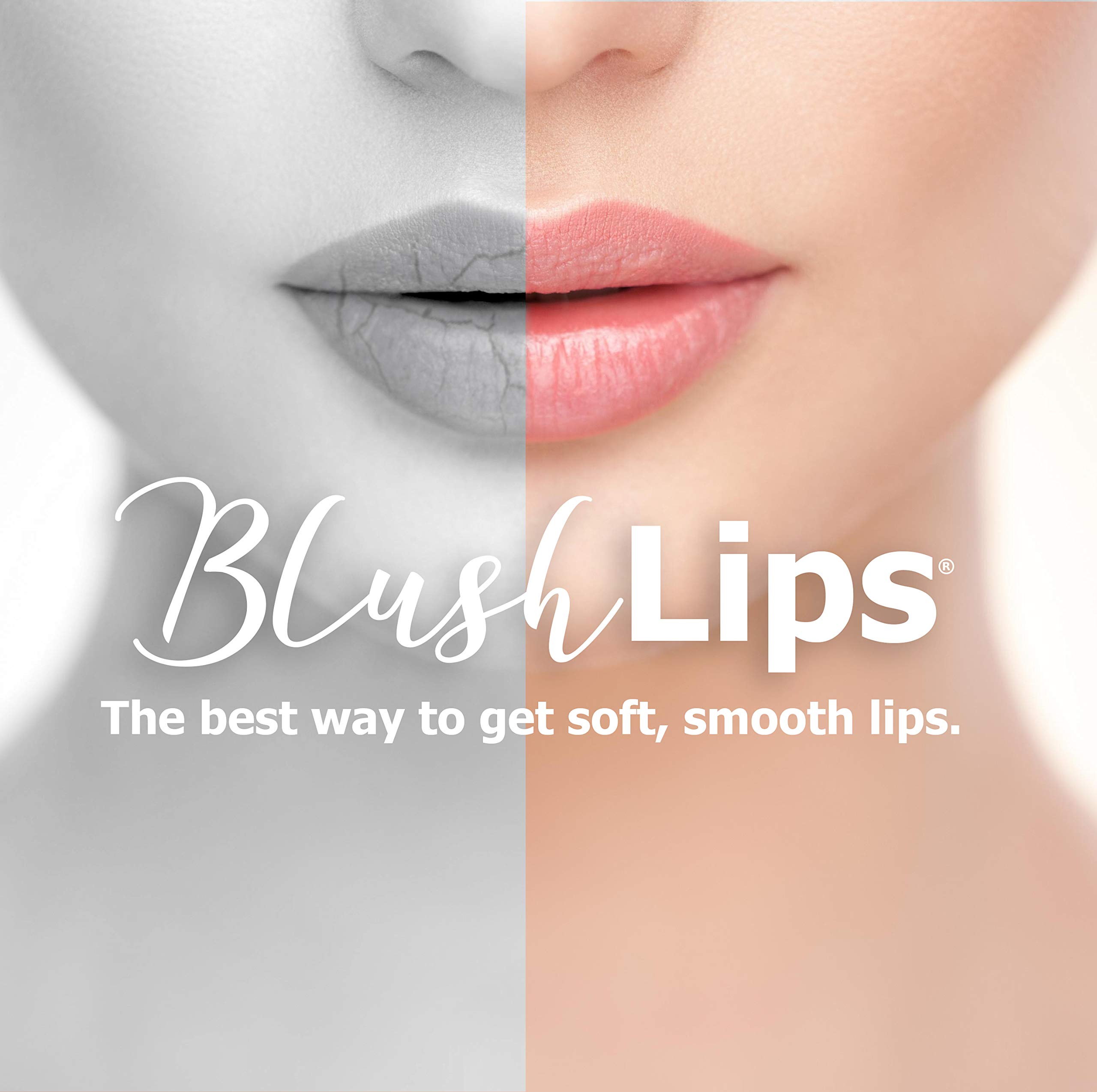 Exfoliating Lip Scrub & Moisturizer for Chapped Lips Treatment - Vegan, Cruelty-Free Lip Care for Dry Lips - Rose Champagne Flavor - Perfect for Winter Lip Repair & Daily Hydration
